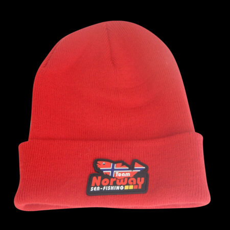 Heavyweight Long Beanie