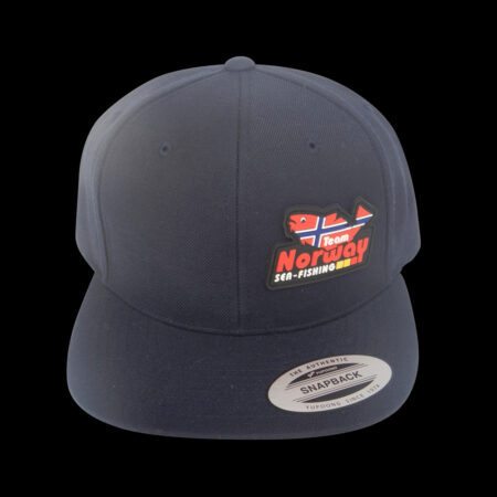 Classic Snapback
