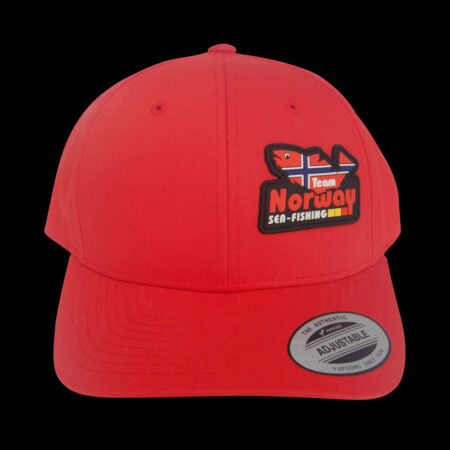 Curved Classic Snapback